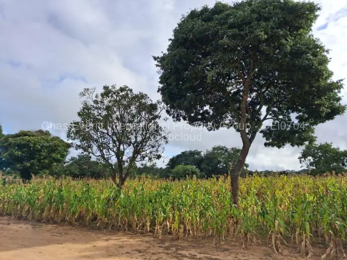 Residential Stand for Sale in Crowhill Views, Harare