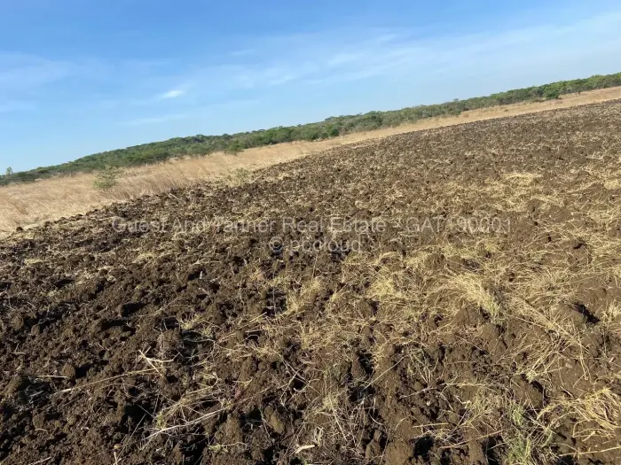 Farm/Plot for Sale in Gutu, Gutu