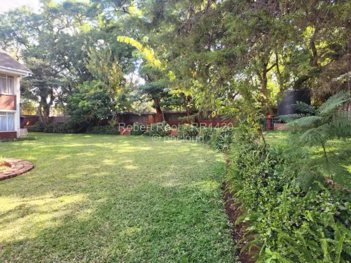 Flat/Apartment to Rent in Avondale