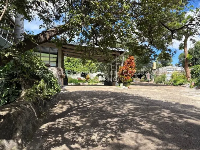 4 Bedroom House for Sale in Hillside Byo, Bulawayo