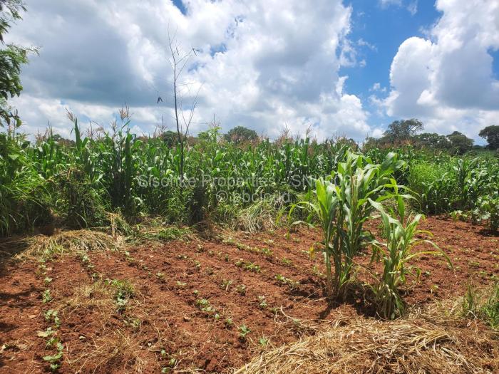 Industrial Stand for Sale in Chinhoyi, Chinhoyi