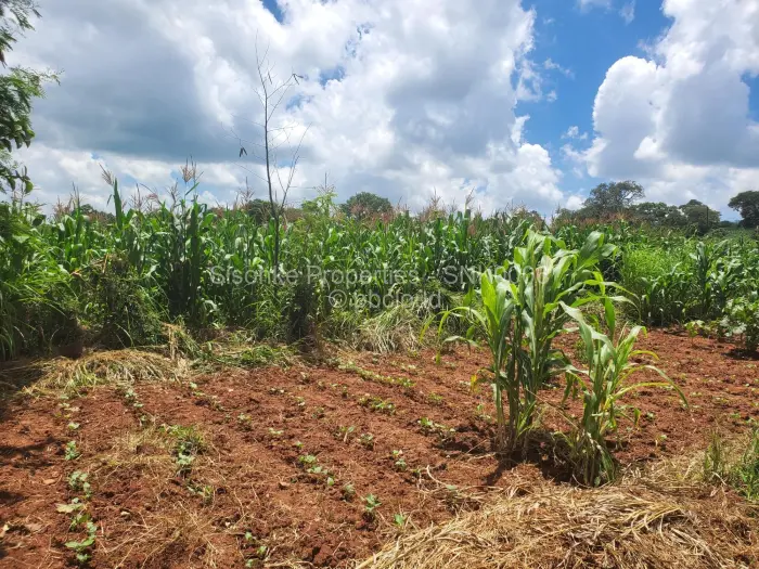 Industrial Stand for Sale in Chinhoyi, Chinhoyi