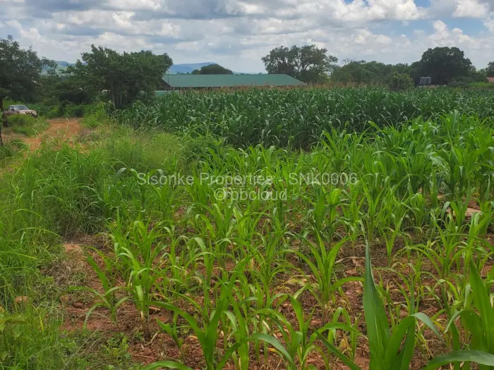 Industrial Stand for Sale in Chinhoyi, Chinhoyi