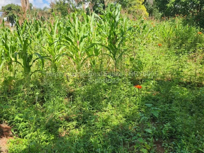 4 Bedroom House for Sale in Greystone Park, Harare