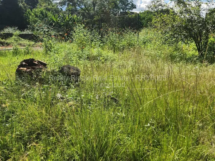 4 Bedroom House for Sale in Greystone Park, Harare