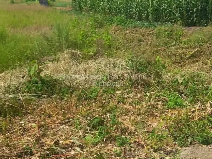 Residential Stand for Sale in Haydon Park