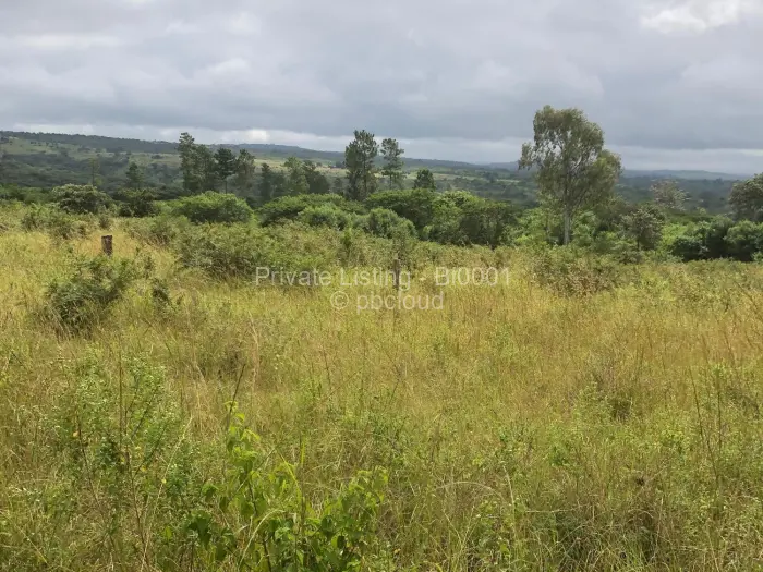 Residential Stand for Sale in Chipinge, Chipinge