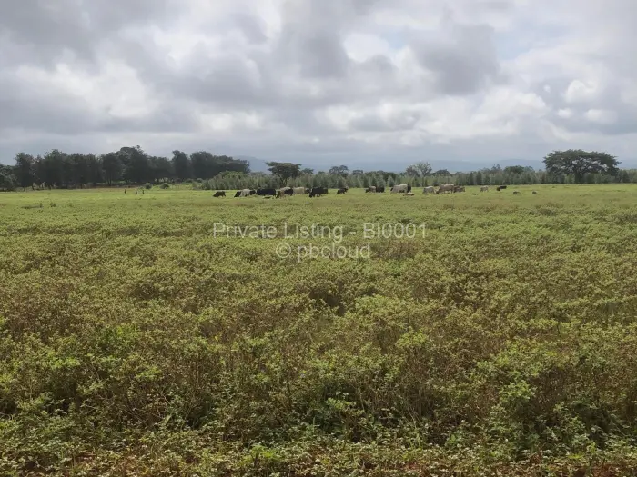 Residential Stand for Sale in Chipinge, Chipinge