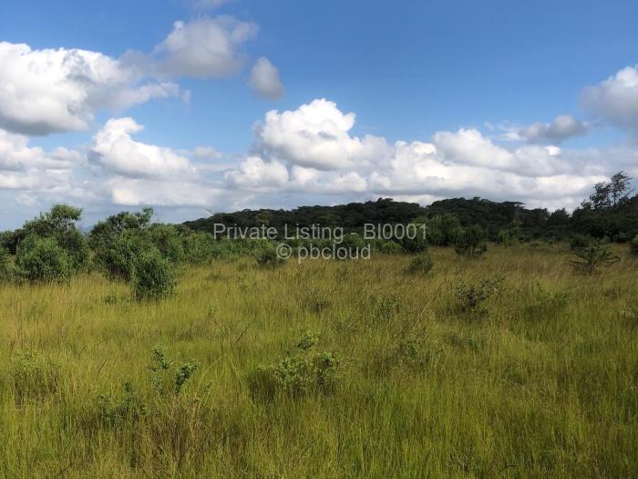 Residential Stand for Sale in Chipinge, Chipinge