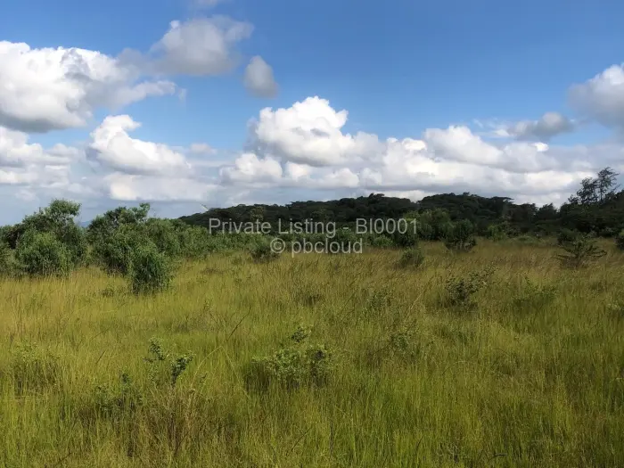 Residential Stand for Sale in Chipinge, Chipinge