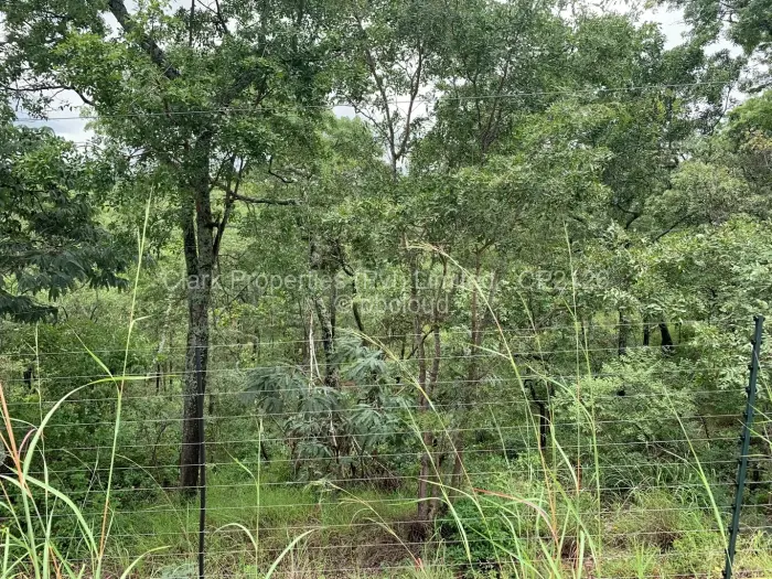 Residential Stand for Sale in Shawasha Hills, Harare