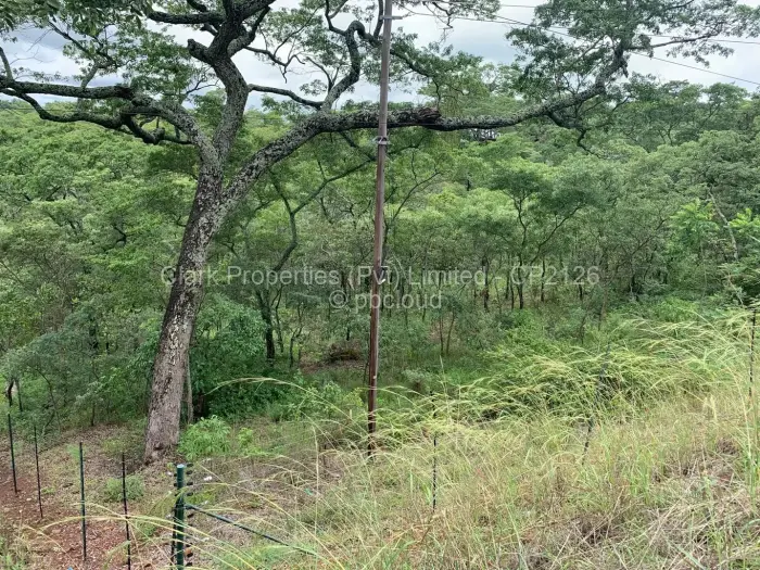 Residential Stand for Sale in Shawasha Hills, Harare