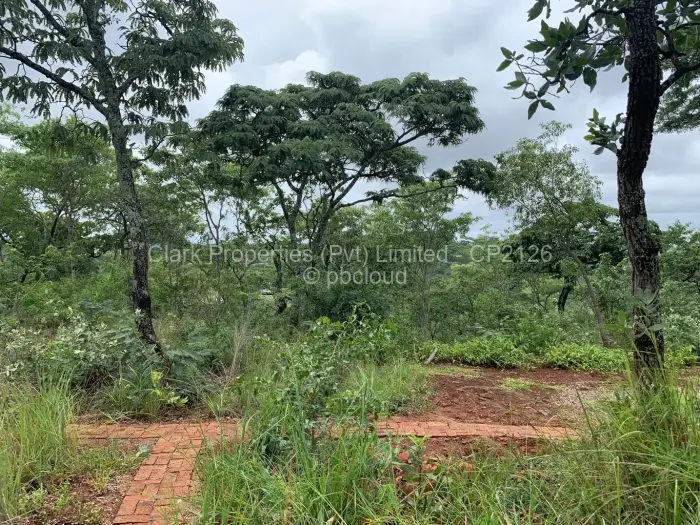 Residential Stand for Sale in Shawasha Hills, Harare
