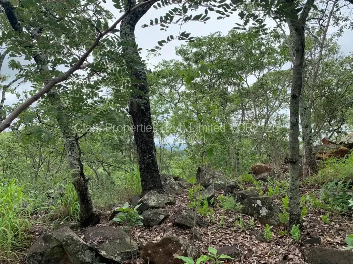 Residential Stand for Sale in Shawasha Hills, Harare