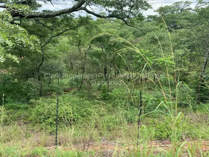 Residential Stand for Sale in Shawasha Hills, Harare