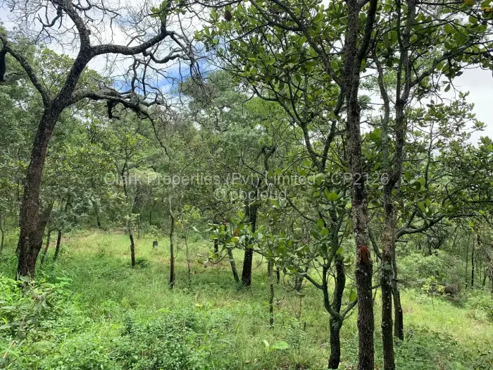 Residential Stand for Sale in Shawasha Hills, Harare