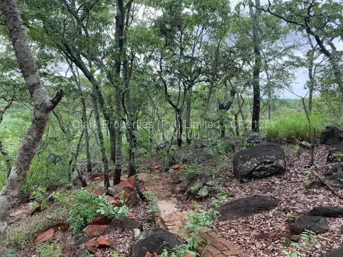 Residential Stand for Sale in Shawasha Hills, Harare