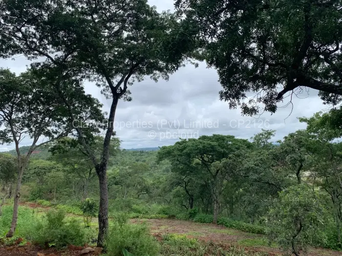 Residential Stand for Sale in Shawasha Hills, Harare