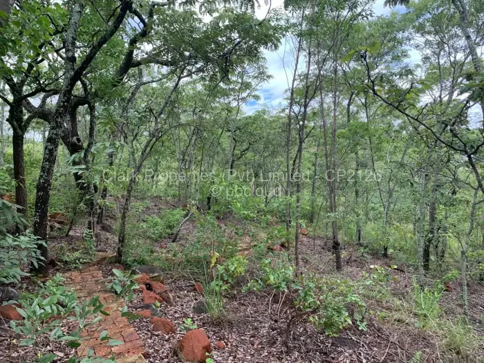 Residential Stand for Sale in Shawasha Hills, Harare