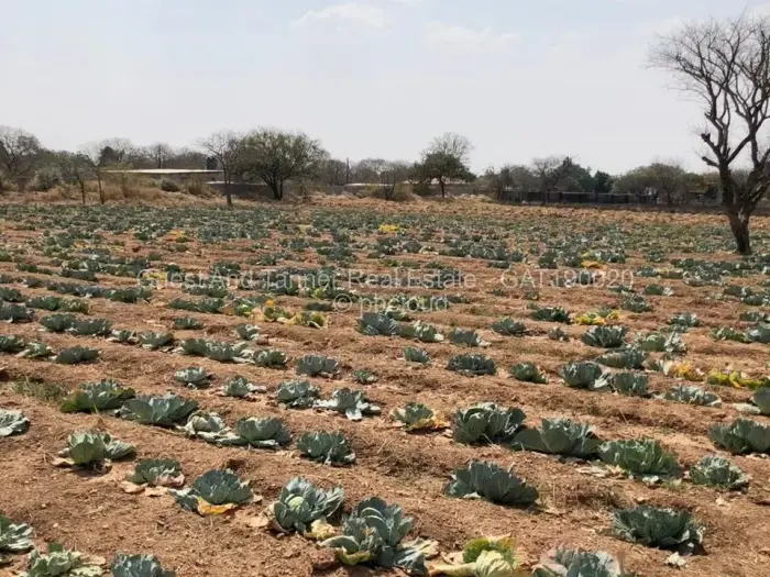 Residential Stand for Sale in Nyamandlovu, Bulawayo