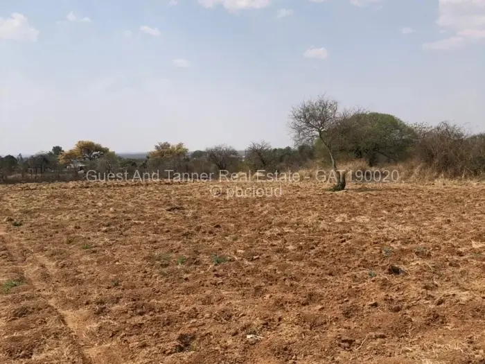 Residential Stand for Sale in Nyamandlovu, Bulawayo