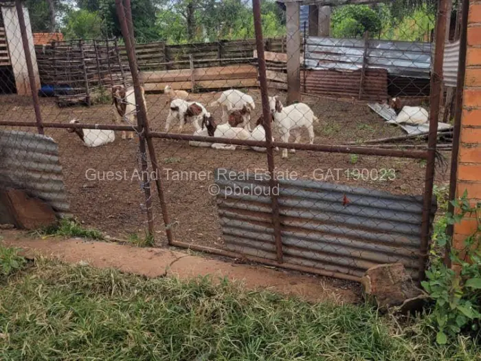 Farm/Plot for Sale in Waterford, Bulawayo