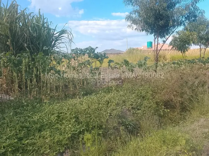 Residential Stand for Sale in Ruwa, Ruwa
