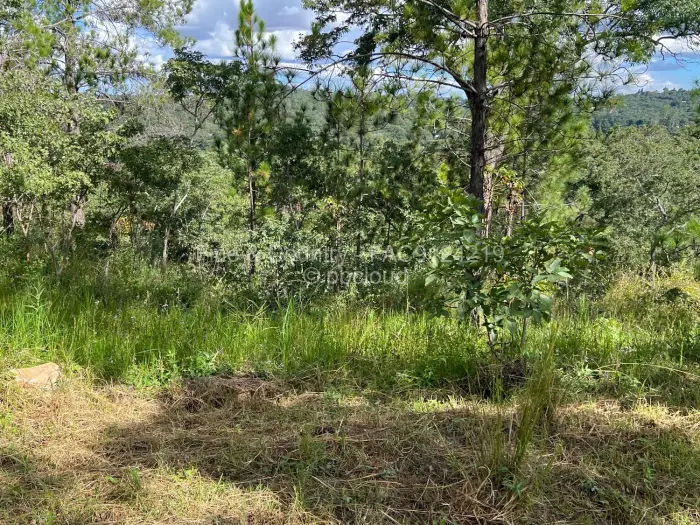 Residential Stand for Sale in Glen Lorne, Harare