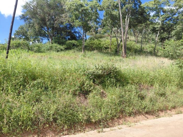 Residential Stand for Sale in Glen Lorne, Harare