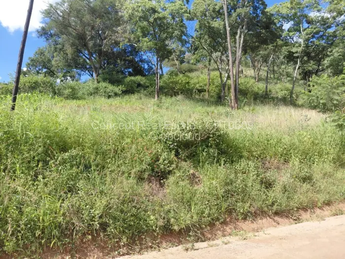 Residential Stand for Sale in Glen Lorne, Harare
