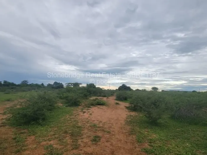 House for Sale in Montgomery, Bulawayo