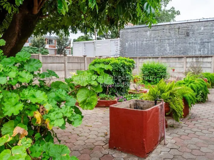 4 Bedroom House for Sale in Bulawayo City Centre, Bulawayo