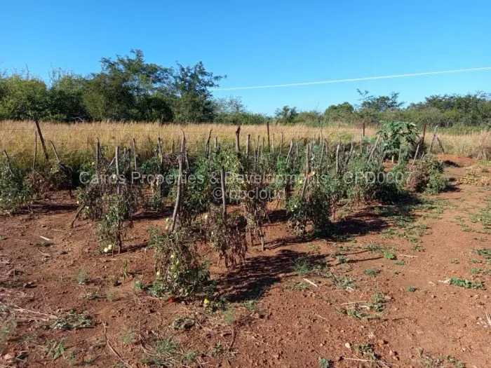 Farm/Plot for Sale in Kadoma, Kadoma