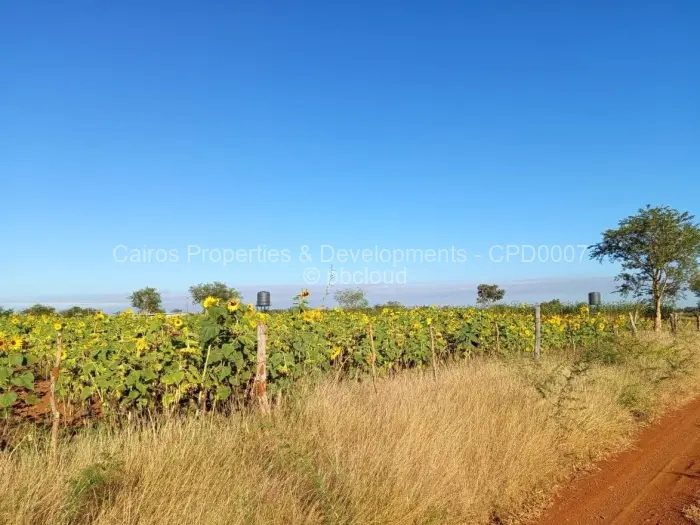 Farm/Plot for Sale in Kadoma, Kadoma