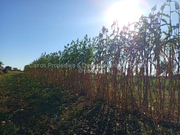 Farm/Plot for Sale in Kadoma, Kadoma