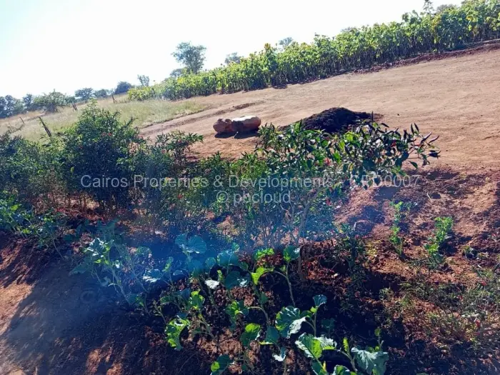 Farm/Plot for Sale in Kadoma, Kadoma
