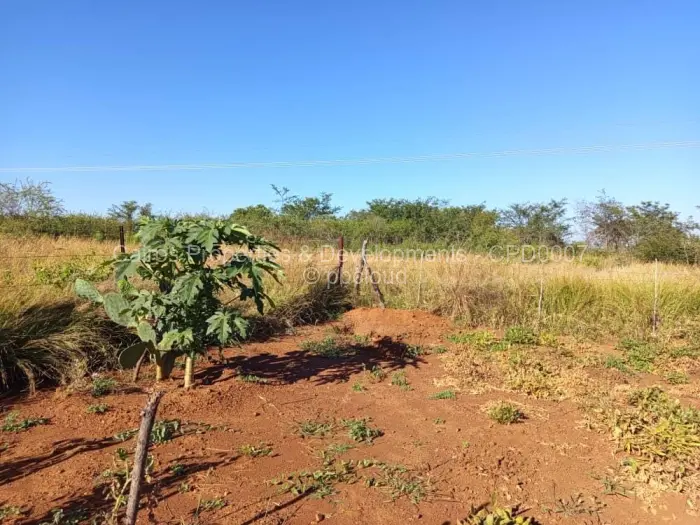 Farm/Plot for Sale in Kadoma, Kadoma