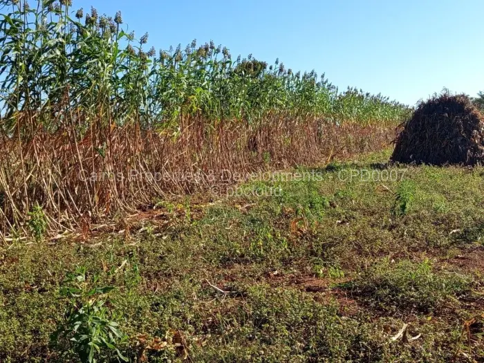 Farm/Plot for Sale in Kadoma, Kadoma