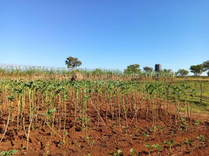 Farm/Plot for Sale in Kadoma, Kadoma