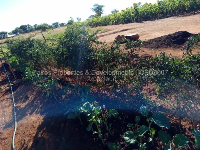 Farm/Plot for Sale in Kadoma, Kadoma