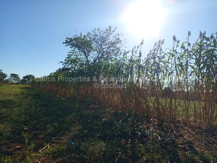 Farm/Plot for Sale in Kadoma, Kadoma