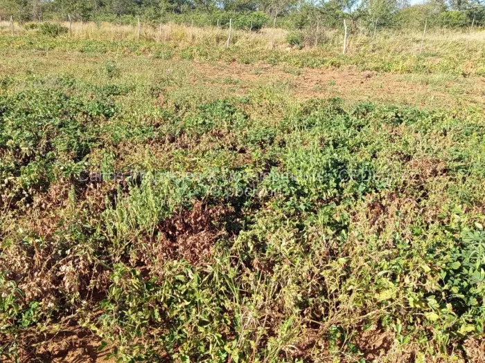 Farm/Plot for Sale in Kadoma, Kadoma