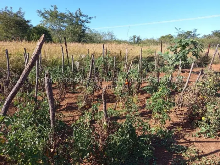 Farm/Plot for Sale in Kadoma, Kadoma