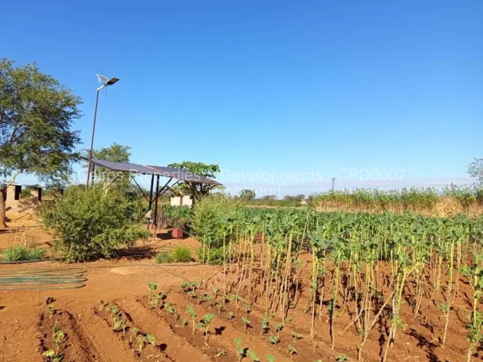 Farm/Plot for Sale in Kadoma, Kadoma