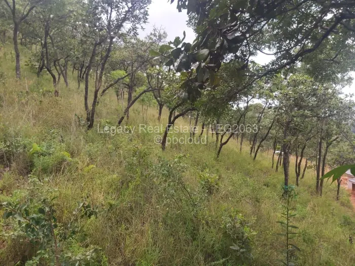 Residential Stand for Sale in Carrick Creagh Estate, Harare