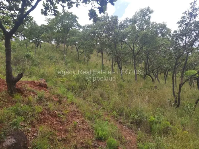 Residential Stand for Sale in Carrick Creagh Estate, Harare