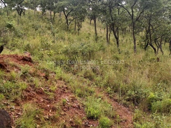 Residential Stand for Sale in Carrick Creagh Estate, Harare