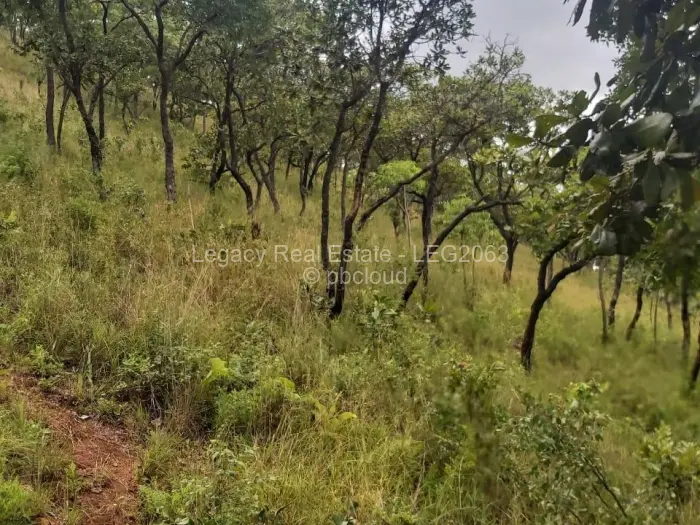 Residential Stand for Sale in Carrick Creagh Estate, Harare