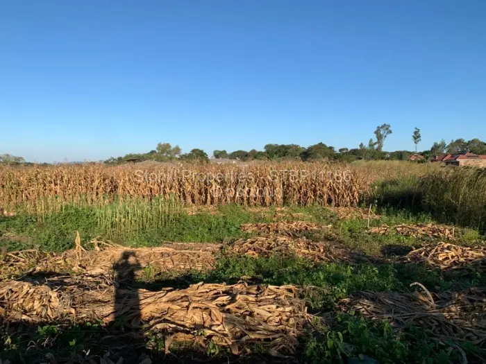 Residential Stand for Sale in Crowhill Views, Harare