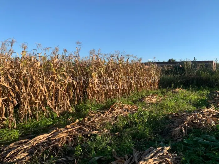 Residential Stand for Sale in Crowhill Views, Harare